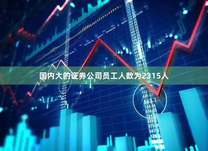 国内大的证券公司员工人数为2315人
