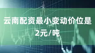 云南配资最小变动价位是2元/吨