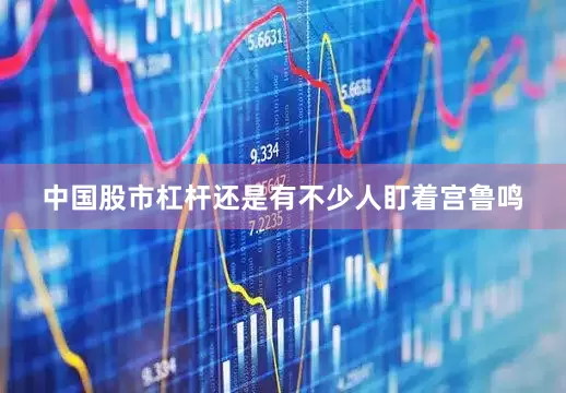 中国股市杠杆还是有不少人盯着宫鲁鸣