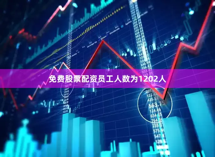 免费股票配资员工人数为1202人