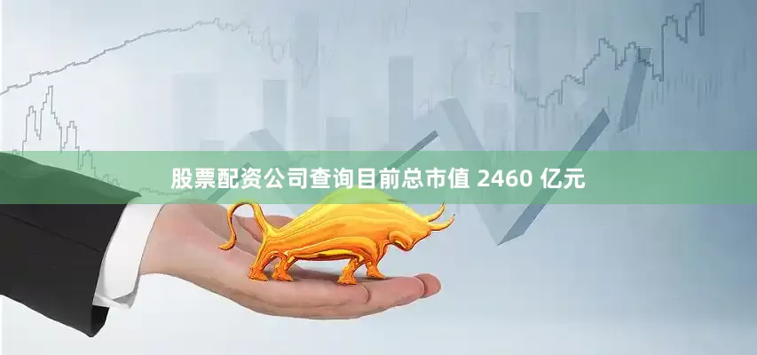 股票配资公司查询目前总市值 2460 亿元