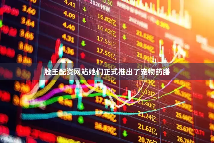 股王配资网站她们正式推出了宠物药膳